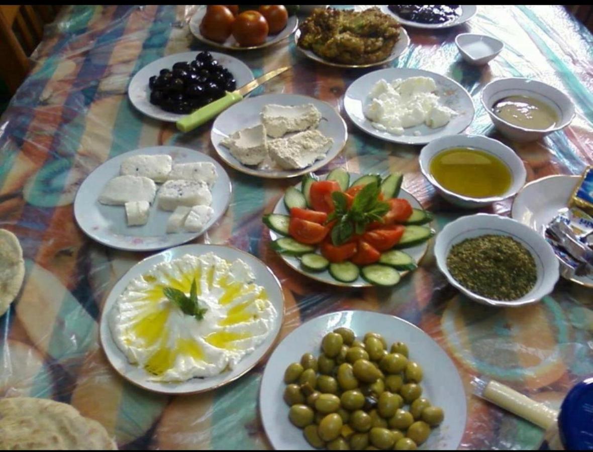 Bedouin Adventure & Tours Ξενοδοχείο Ουάντι Ραμ Εξωτερικό φωτογραφία